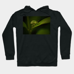 DON'T LEAF THE LITTER TO US Hoodie